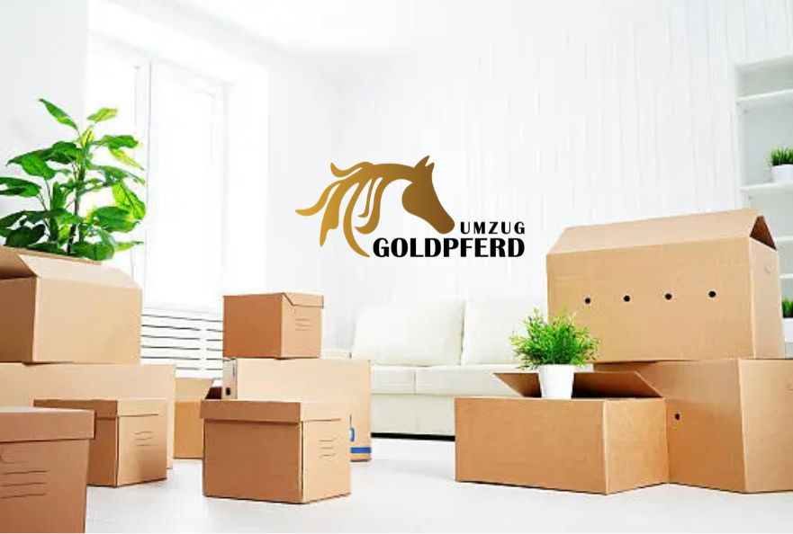 Your Ultimate Guide to Safe and Smart Furniture Storage